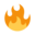 Roast ®