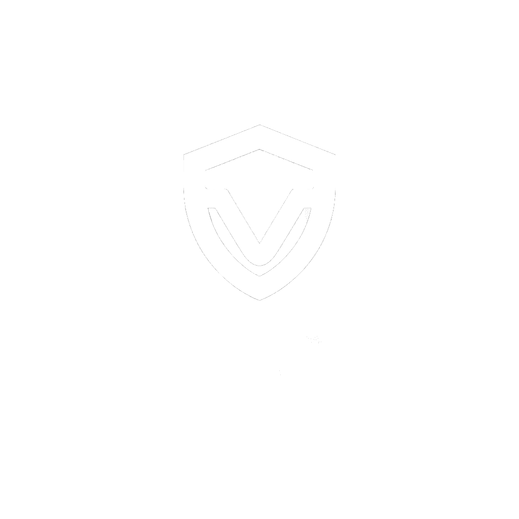 VibeSec