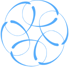 The Grok App