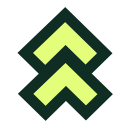 Leaderr.io