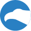 cityfalcon.ai