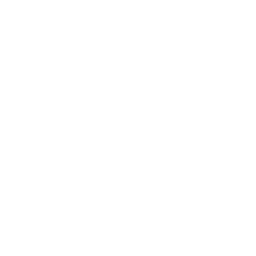 Wisibl