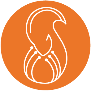 squirai.com