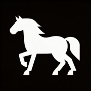 HappHorse AI Video