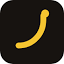 Nano Banana 2.5